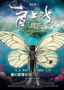 陶大帅助理车祸视频