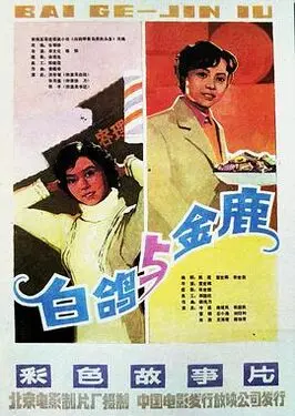 我的小小房东小姐令人心动小说